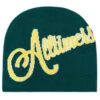 Alltimers Signature Needed Skully Beanie - Forest Green -Jet Ski Store BQ5674F 1