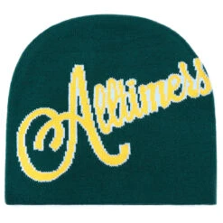 Jet Ski Store 19 Alltimers Signature Needed Skully Beanie - Forest Green